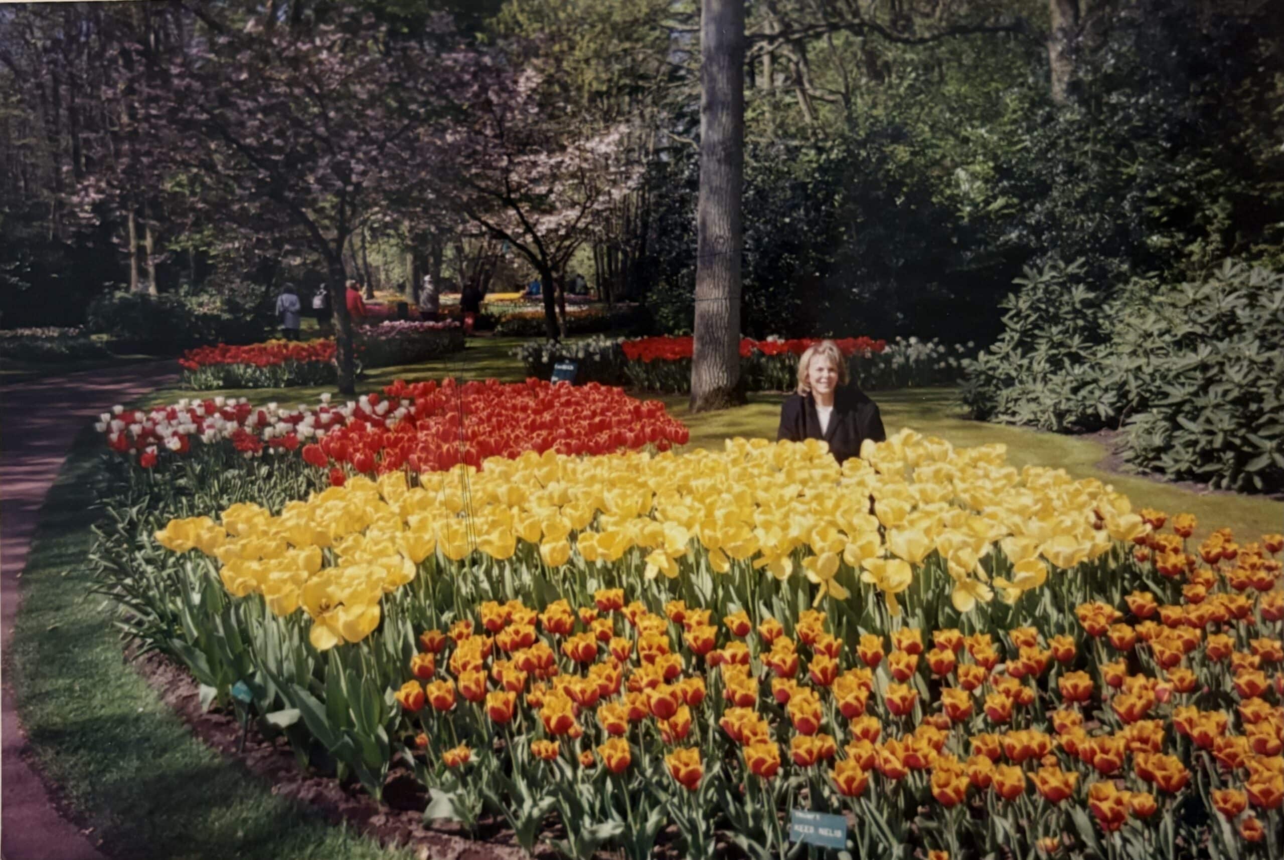 Tulip garden